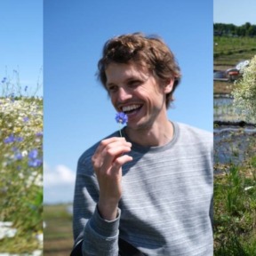 Matthijs helpt boeren te verdienen aan ‘onkruid’ en stimuleert daarmee de biodiversiteit